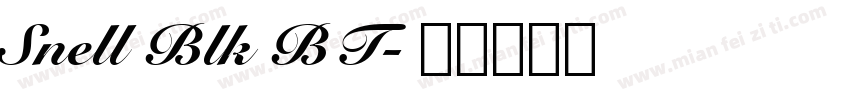 Snell Blk BT字体转换